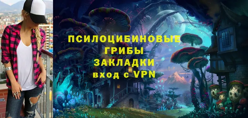 Галлюциногенные грибы Psilocybe  как найти закладки  Красноуральск 